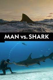 Человек против акулы